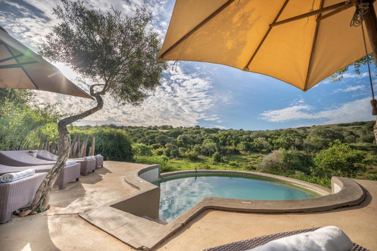 Safari Lodge - Amakhala Game Reserve Exterior foto